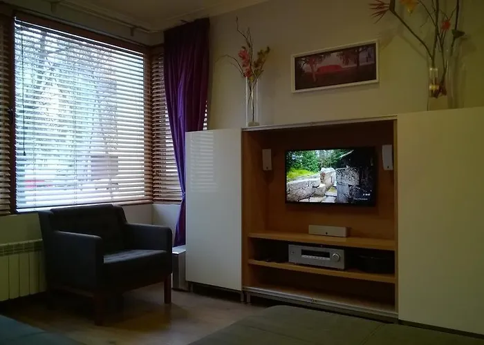 公园美景公寓 公寓 索菲亞